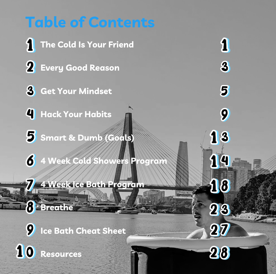 Table of contents for ice bath guide with 10 recovery topics.